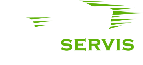Primary Raster logo